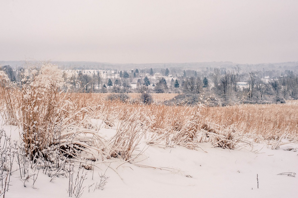 Юлия/замена/beautiful-shot-of-the-amazing-scenery-of-the-snow-covered-countryside-in-pennsylvania.jpg