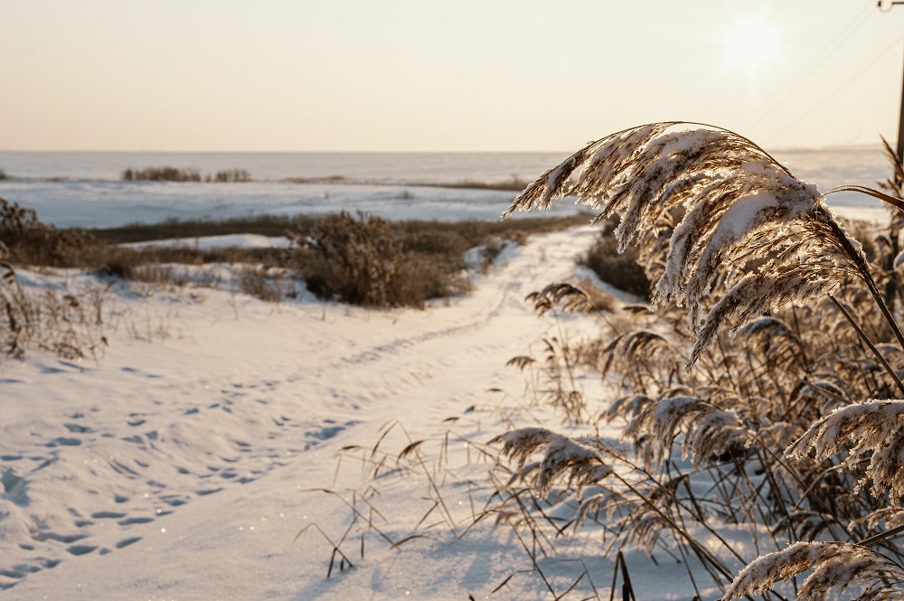 Юлия/замена/vista-do-por-do-sol-no-inverno-nevado.jpg